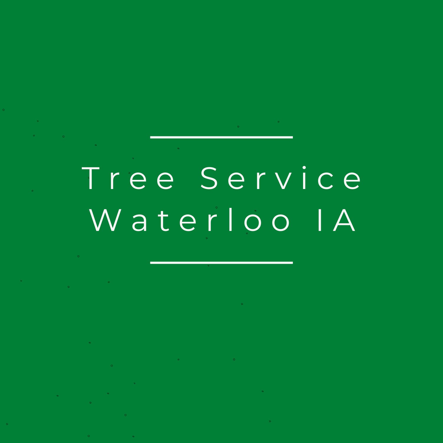 Tree Service of Waterloo IA